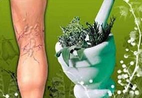 zelišča za zdravljenje krčnih žil